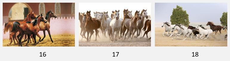 Retaj Salwa Resort & Spa - Artwork - Montage de photos de chevaux sur Dibon - Galerie du Lobby